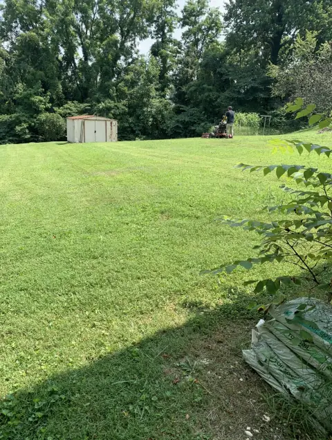Professional lawn maintenance in progress