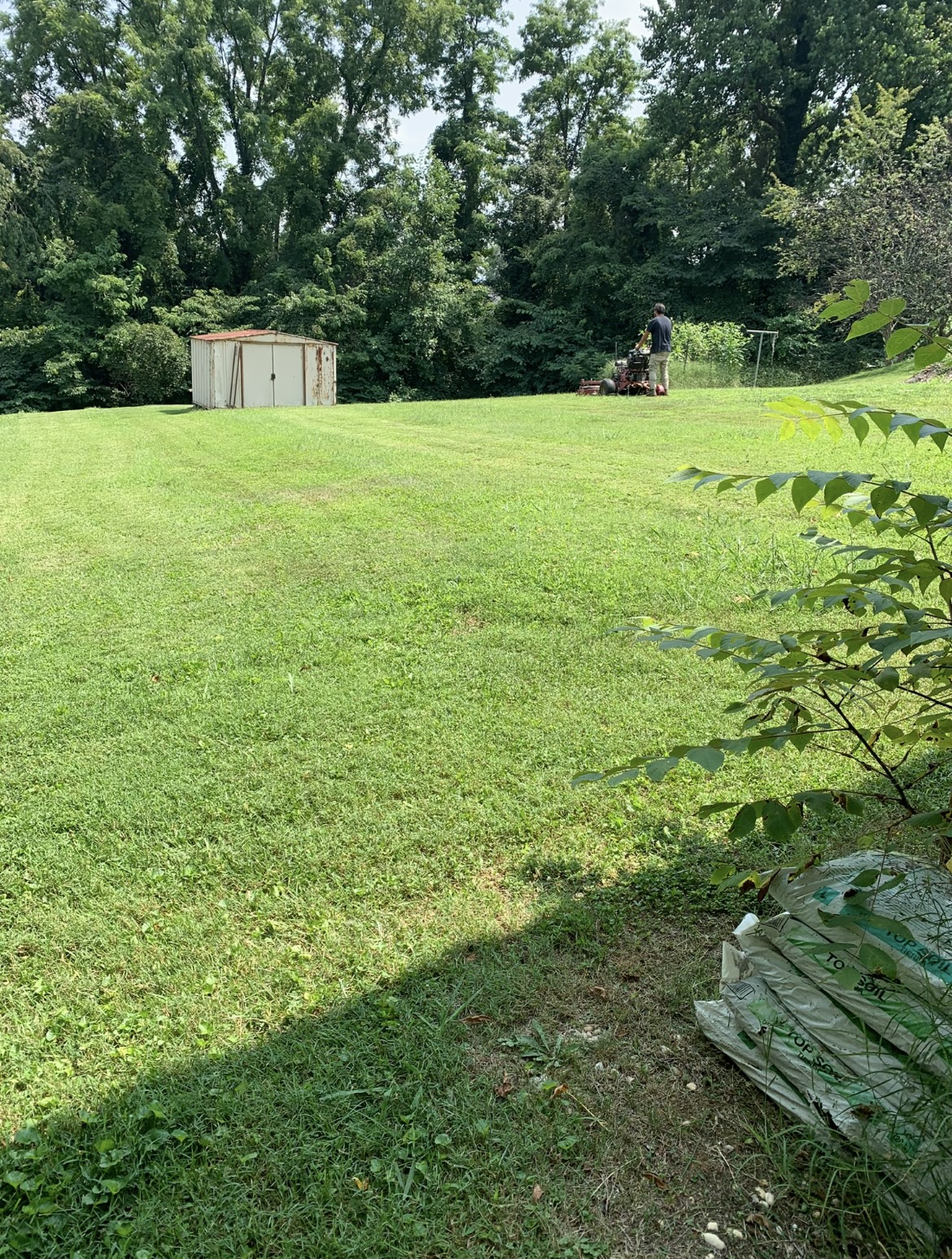 Freshly mowed lawn