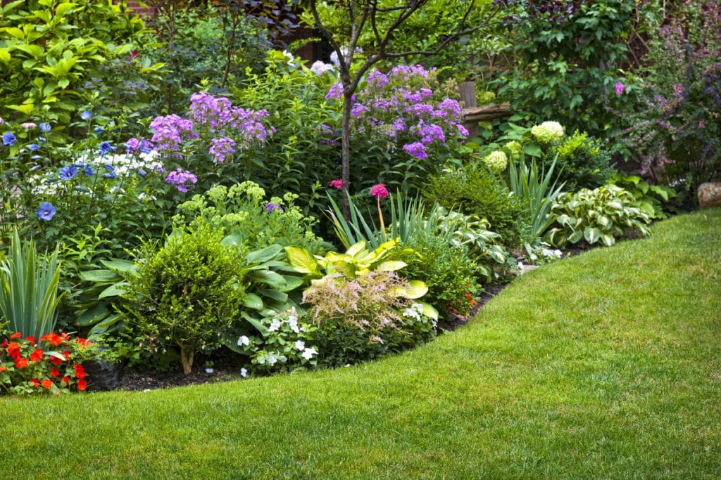 Garden bed with flowers