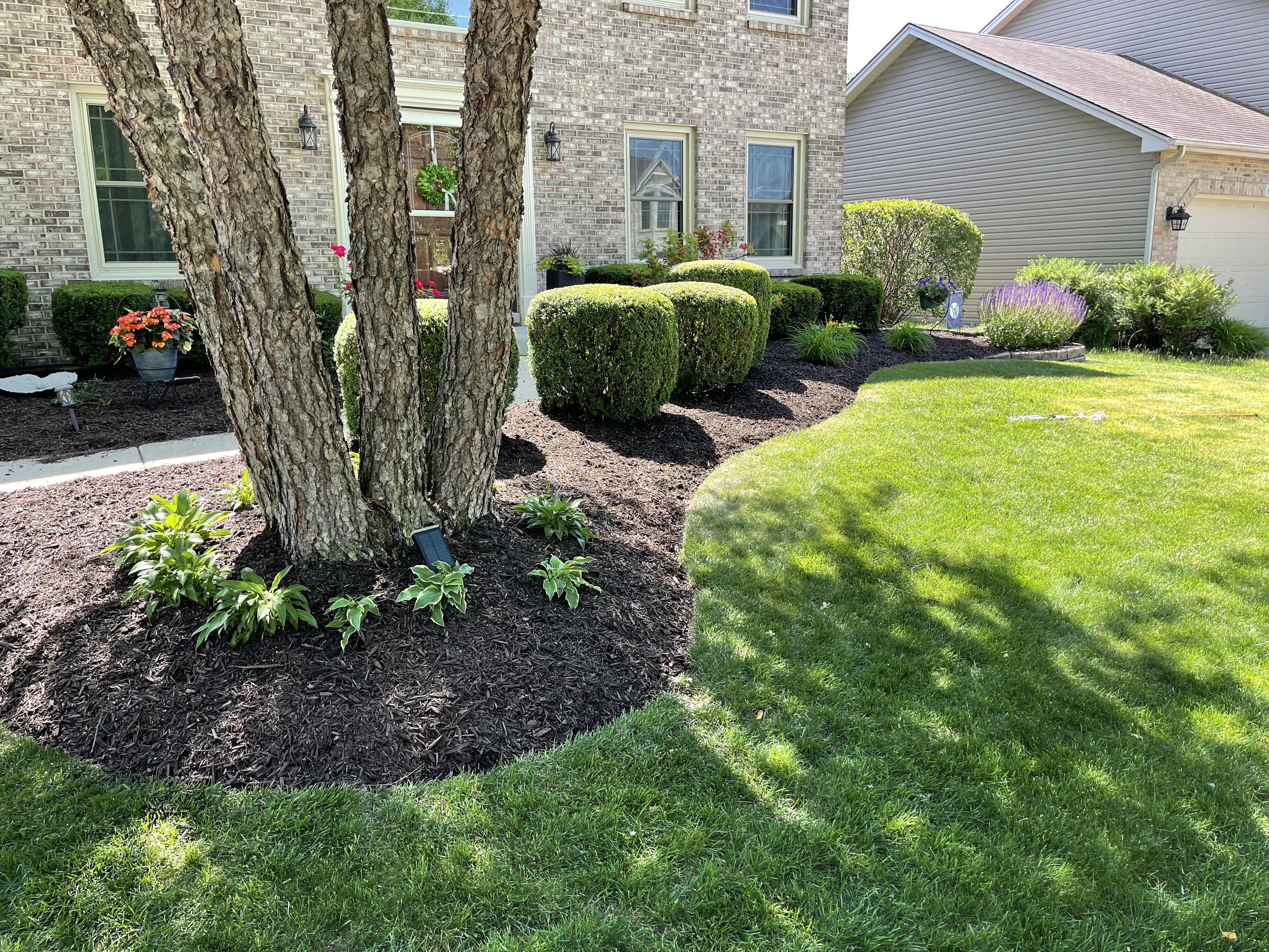 Mulching job