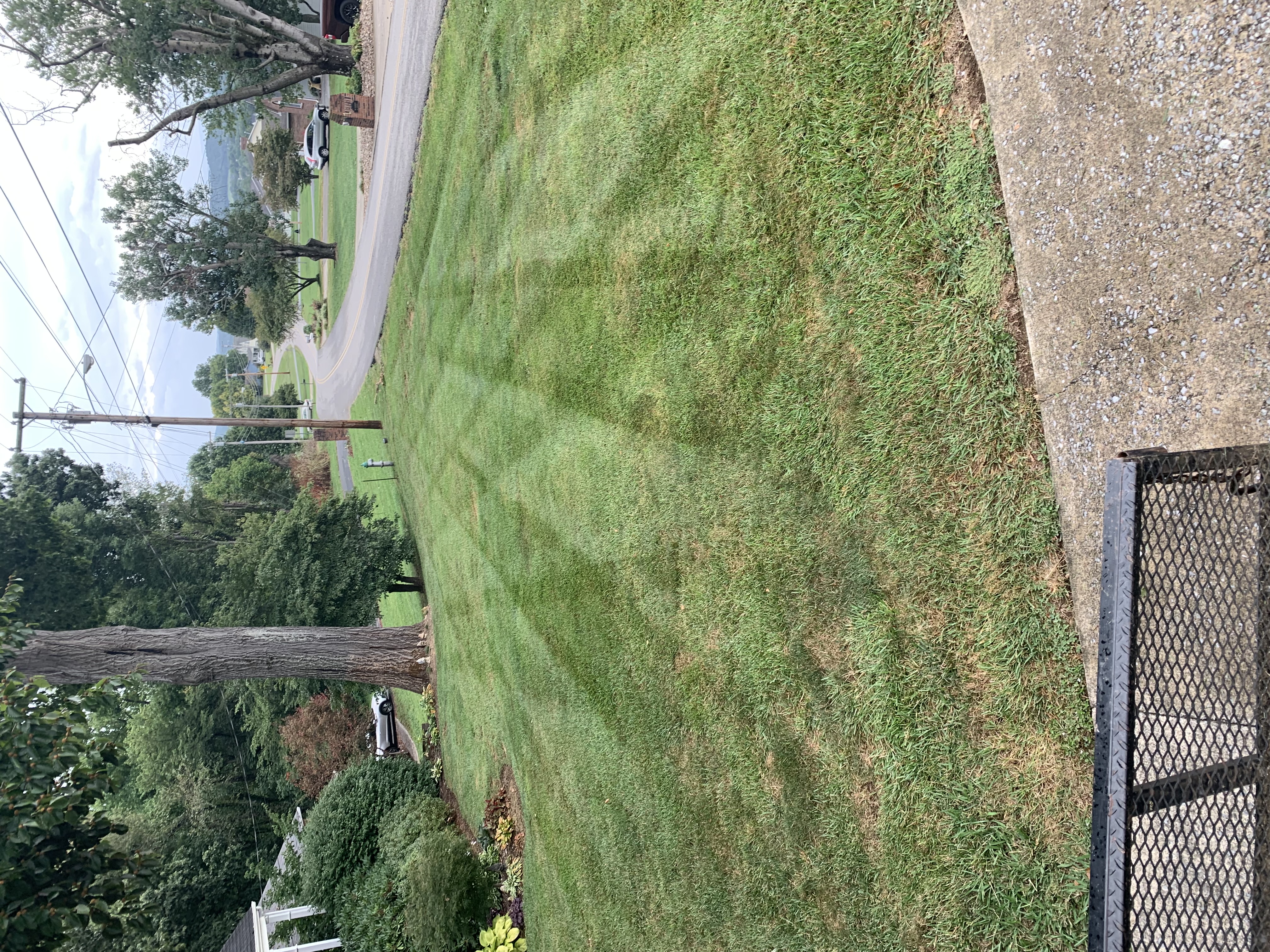 Lawn job 1