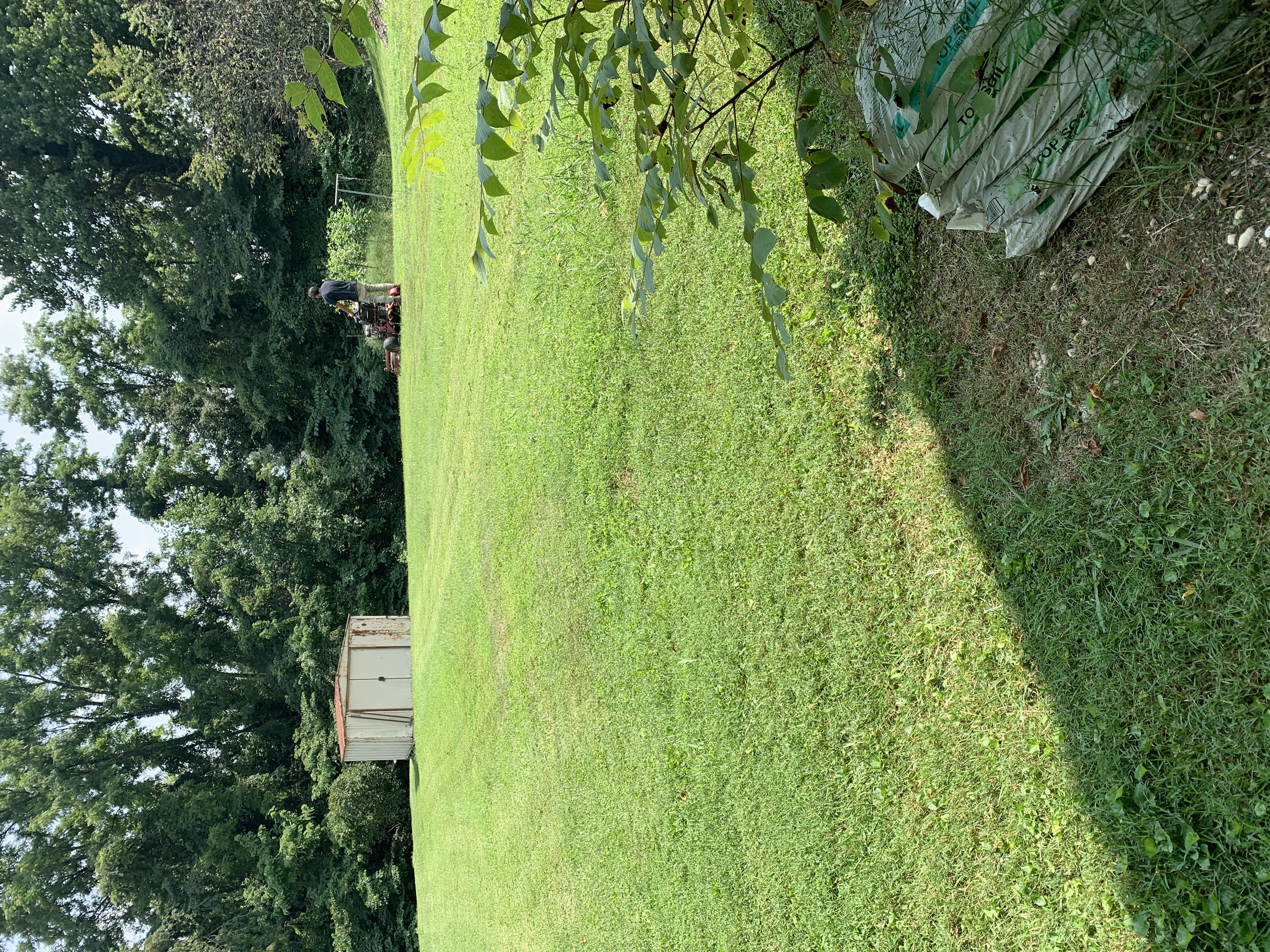 Lawn job 5